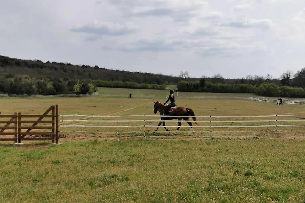 Gite En Pleine Nature - 5 A 6 Personnes Villa Salavas